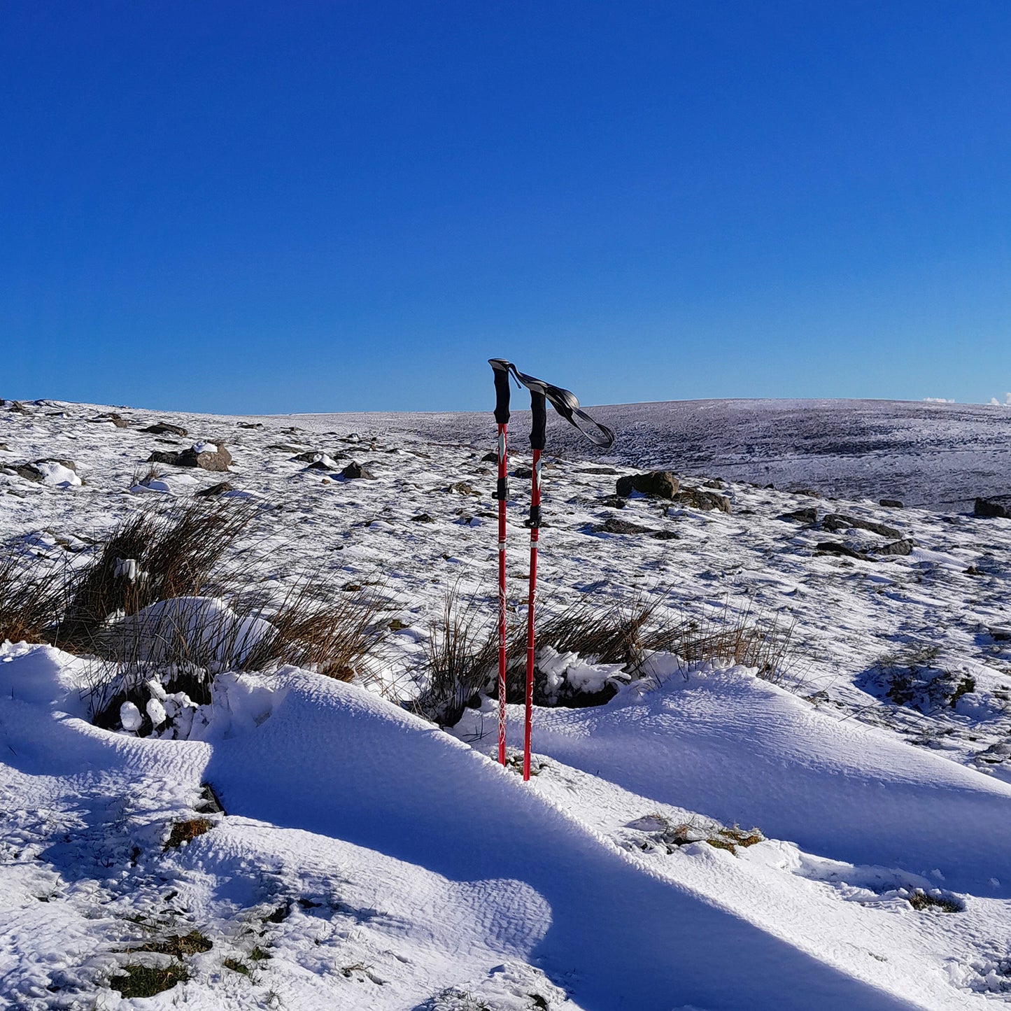 Tekore Trek Pro hiking and walking poles - Pair